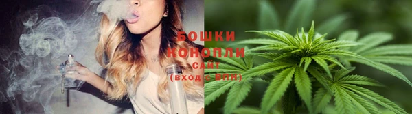 PSILOCYBIN Вязьма