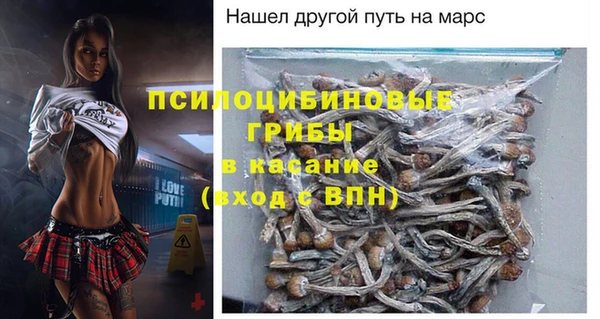мяу мяу мука Горняк